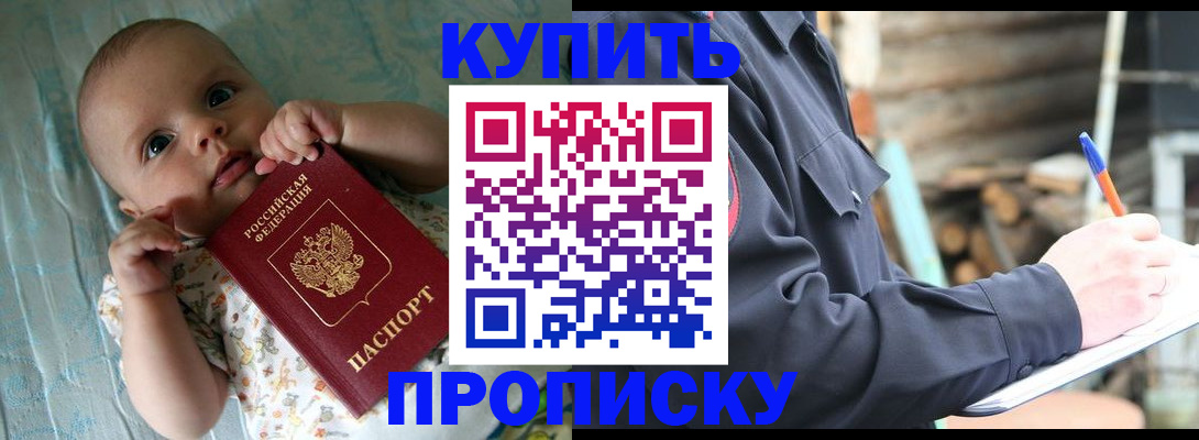прописка поиск в Алейске